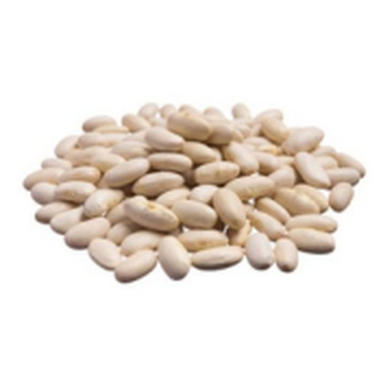 Navy beans
