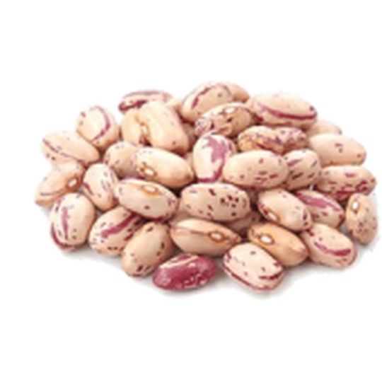 Pinto beans